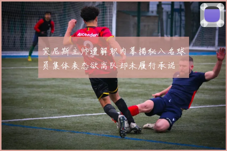 突尼斯主帅遭解职内幕揭秘八名球员集体表态欲离队却未履行承诺